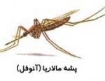 آغاز هفته ملي حذف مالاريا (در مناطق مستعد)