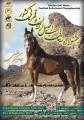 جشنواره زیبایی اسب اصیل ایرانی و قهرمانی کشور 96