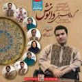 کنسرت گروه دانوش 96