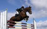 مسابقات بین المللی سوارکاری پرش با اسب CSI*, CSI** ( World Cup ) W