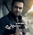 کنسرت رضا شیری مرودشت تیر 97