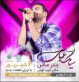 کنسرت سیامک عباسی بندرعباس شهریور 97