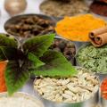 نمایشگاه گیاهان دارویی و گل و گیاه بیرجند بهمن 97