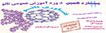 سیزدهمین دوره عمومی نانوفناوری
