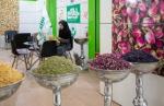 نمایشگاه تخصصی گیاهان دارویی و تجهیزات گلخانه ای تبریز 1403