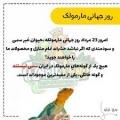 روز جهانی مارمولک (14 آگوست ) مرداد 1403