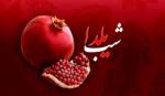 نمایشگاه یلدای ایرانی بوشهر 1403