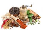 نمایشگاه طب سنتی و گیاهان دارویی گلستان 1403