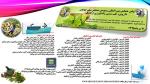 اولین همایش بین المللی و سومین همایش ملی گیاهان دارویی،طب سنتی و کشاورزی ارگانیک