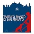 جشنواره ملی قارچ خوراکی سفید ترافل San Miniato ایتالیا