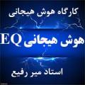کارگاه آموزش هوش هیجانی