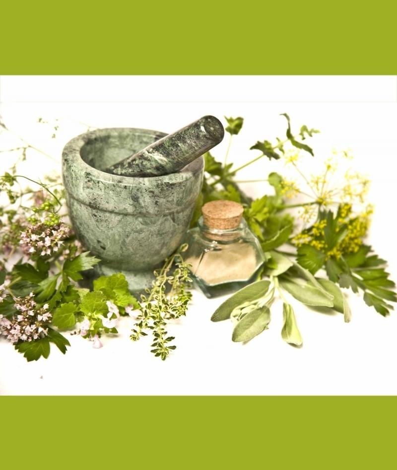 اولین نمایشگاه تخصصی گیاهان دارویی ، طب سنتی گلستان 96