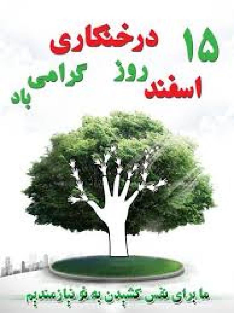 روز درختكاري اسفند 1403